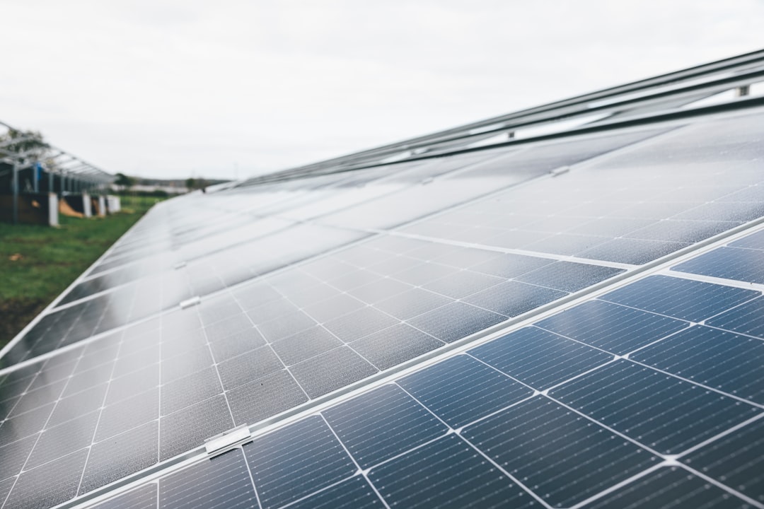 Investment in Renewable Energy